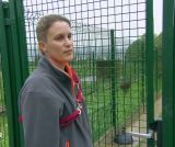 Schumacher et Prosper les craintifs, Aïko et Andy les chatons venus de Martinique