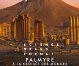 Palmyre, à la croisée des mondes