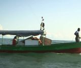 Pêche : un secteur en déclin ?