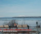 Fêtes, cœurs à prendre et ours géants : bienvenue en Alaska