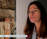La mérule : le cauchemar des propriétaires / Immobilier : propriétaires de plus en plus jeunes