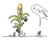 C'est quoi l'antisémitisme?