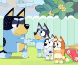 La fête des souches