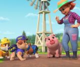 La nouvelle vache de Zoé