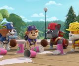 Le stand de smoothies