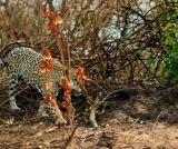 S7E7 - Le Saint Graal du hard rock