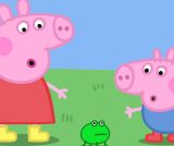 Grenouilles, vers et papillons