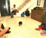 Saison 10 Episode 60 du 18 mars 2026