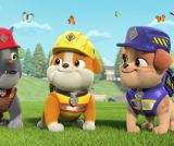 Des papillons à Bricoville