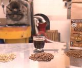 J5 : Bretagne - côté Nord