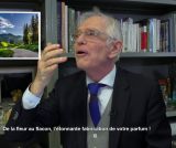 Coloration, parfum, astuces « maison », de la chimie étonnante au service de votre beauté !