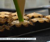 Hong Kong : il serait le meilleur hôtel de la planète !