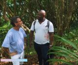 Voyage à... l'île Rodrigues