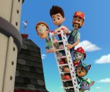 Mystère dans le champ de maïs