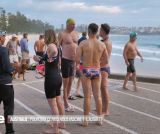 Australie : ce pays du bout du monde qui fait rêver les Français