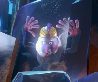 Les as de la jungle à la rescousse