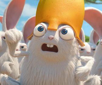 Les as de la jungle à la rescousse