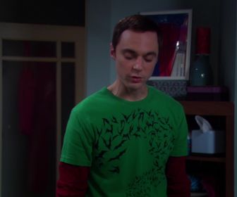 The Big Bang Theory