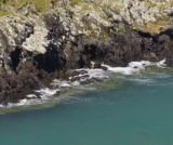 Une année chez les manchots