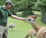 Zoo nursery : Berlin