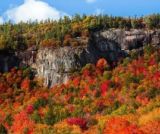 Le cycle des saisons