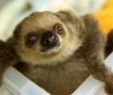 Manaus, une ville au coeur de la jungle