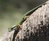 Les parcs naturels... en Minuscule