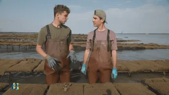 C'est toujours pas sorcier - L'huître, la perle des mers