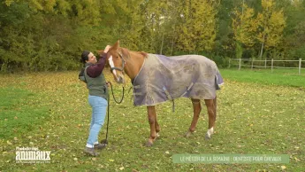 L'hebdo des animaux - S1E4 - Episode 4