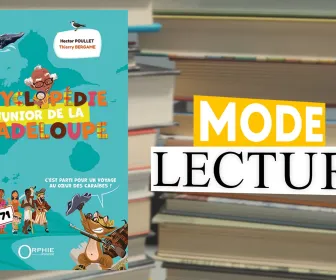 Mode lecture