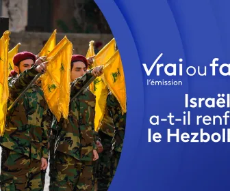 Vrai ou faux, l'émission