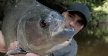 Pêche XXL - S3E4 - Le dévoreur de l'amazone