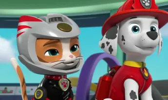 Paw Patrol, la Pat'Patrouille - La Pat' Patrouille rencontre les Super Chats