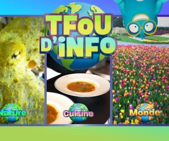 TFOU d'info