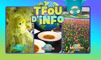 TFOU d'info - du 15 avril 2026