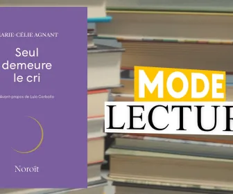 Mode lecture
