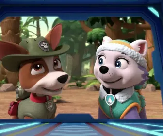 Paw Patrol, la Pat'Patrouille