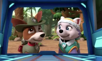 Paw Patrol, la Pat'Patrouille - Un éléphanteau joueur