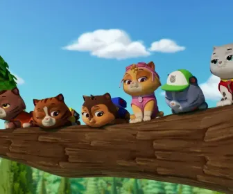 Paw Patrol, la Pat'Patrouille