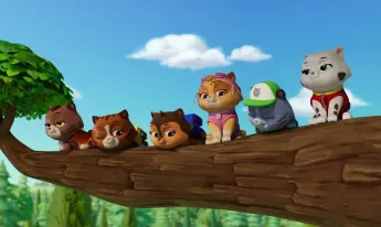 Paw Patrol, la Pat'Patrouille - Mission Pompiers : Les guim-o-choco de M. Hellinger