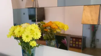 Déco ou négo - S4 E10 - Nikunj & Nitasha