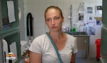 Animaux à adopter - Jack Sparrow, le chat pirate à 3 pattes et Winkie la petite créole arrivée de Guadeloupe