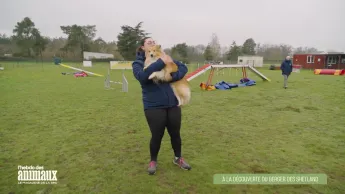 L'hebdo des animaux - S1E8 - Episode 8