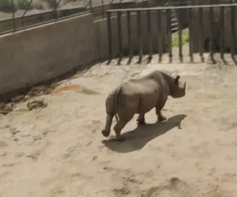 Au coeur du zoo le plus beau du monde