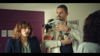 A priori - c'est une enquête parmi les chiens