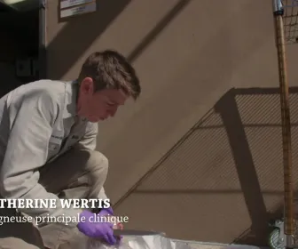 Au coeur du zoo le plus beau du monde