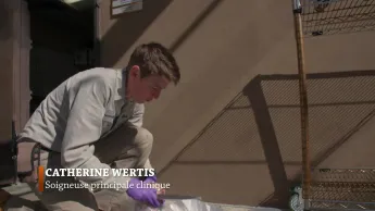 Au coeur du zoo le plus beau du monde - S1E6 - C'est l'histoire de Meek