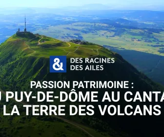 Des racines et des ailes