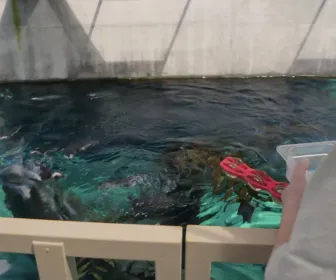 Au coeur du zoo le plus beau du monde