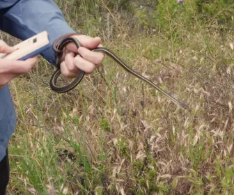 Au coeur du zoo le plus beau du monde